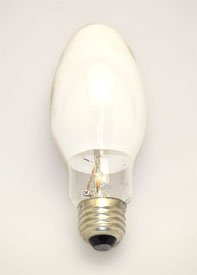 Technical Precision MP100/C/U/MED Battery & Light Bulb Replacement - 2 Pack for Flashlights, Emergency Kits & Home Appliances