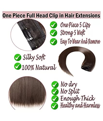 BeatStock 24-Inch Women's Natural Light Brown Hair Extensions with Golden Highlights - Clip-In Straight Human Hair for Length & Volume - Perfect for Parties, Weddings & Daily Styling