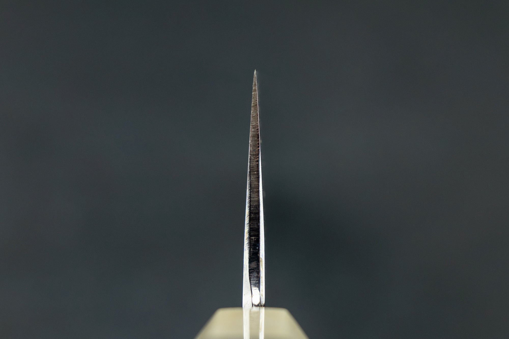 Premium Sakai Kikumori Shiroichi Kyomen Sakachoji Honyaki Gyuto 240mm Japanese Chef Knife - High-Carbon Steel, Razor Sharp Blade for Sushi, Meat & Vegetable Cutting - Perfect for Professional Chefs & Home Cooking