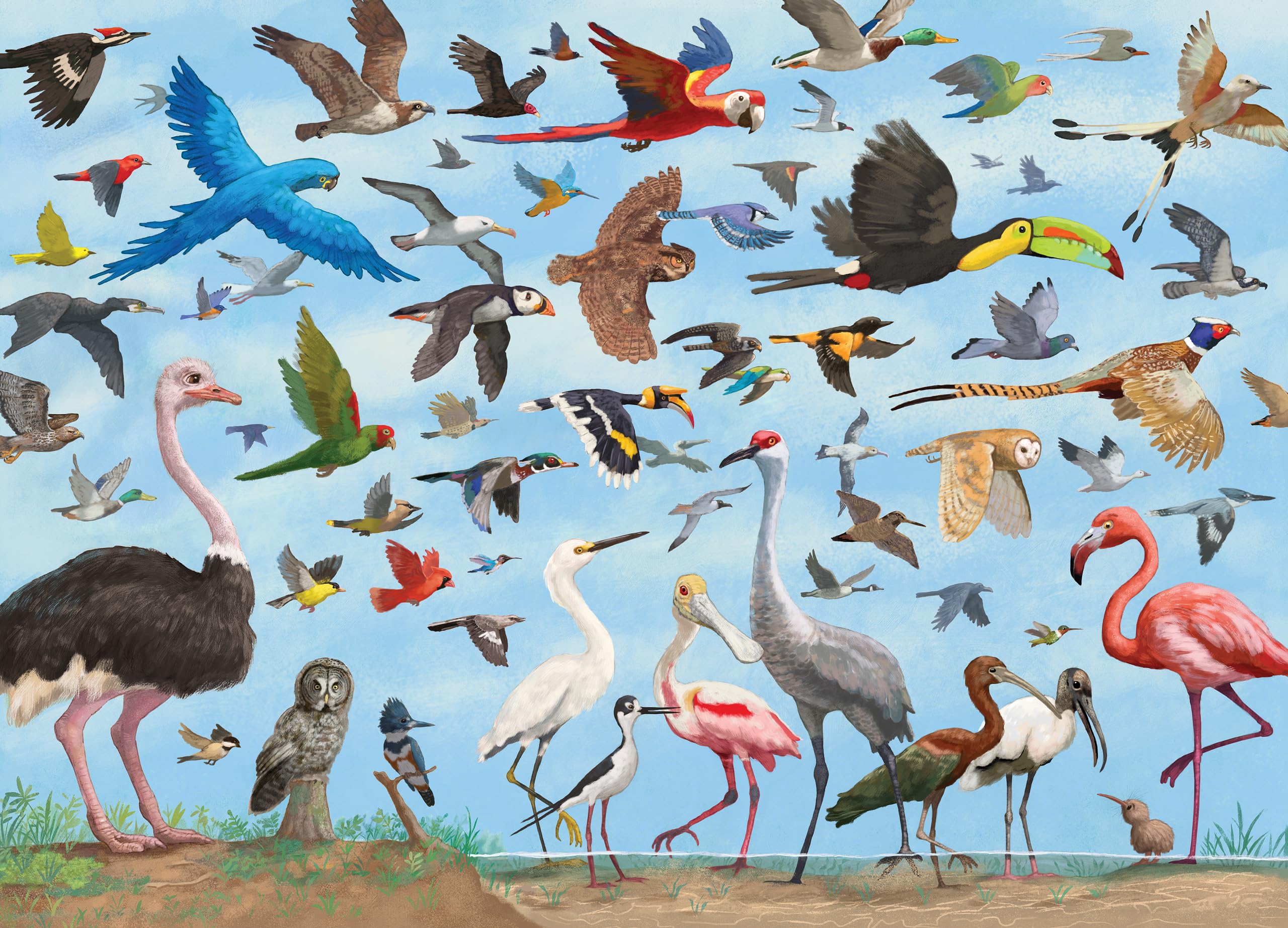 PETER PAUPER PRESS All The Birds 1000 Piece Jigsaw Puzzle - Colorful Bird Art Puzzle for Adults & Teens - Perfect for Family Game Night & Relaxation