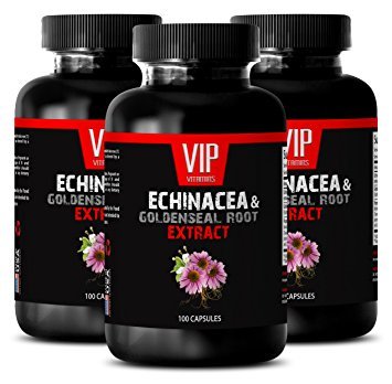 ECHINACEA & GOLDENSEAL Root 300mg - Premium Antioxidant Immune Support Vitamins for Adults, 3 Bottles (300 Capsules) - Boost Immunity & Wellness for Cold Season, Travel & Daily Health Maintenance