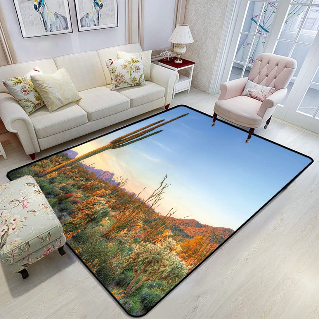 Sunset Desert Area Rug - 6'6