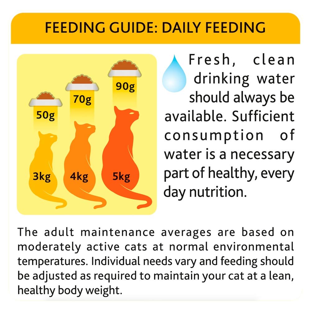 Premium Go-Cat Complete Adult Dry Cat Food with Tuna & Herring - Nutrient-Rich Formula with Vegetables - 4kg Bag for Healthy Skin & Coat - Perfect for Indoor & Outdoor Cats