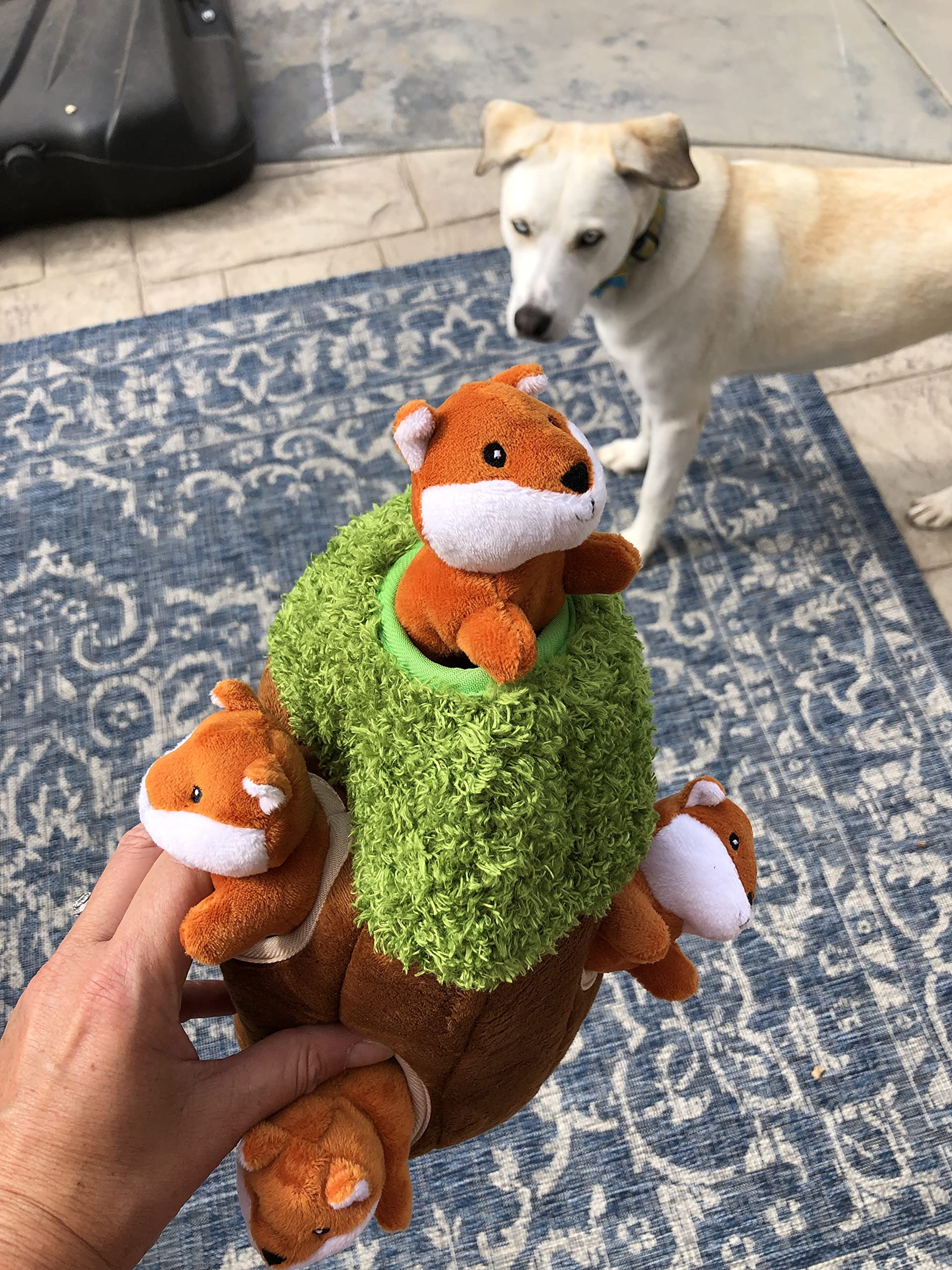 Interactive Plush Fox Hide and Seek Dog Toy with Squeaker - Fun Burrow Game for Small & Medium Dogs | Perfect for Indoor Play, Training & Stimulating Your Pet's Natural Hunting Instincts (Tree with Fox, Medium Size)