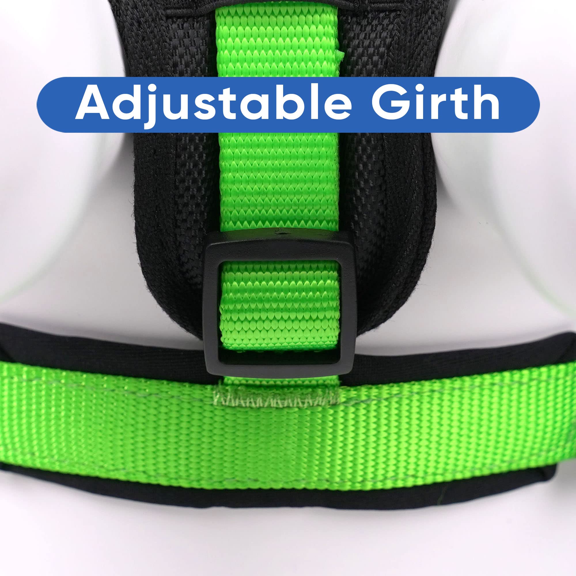Pawtitas Reflective Padded Dog Harness - Comfortable & Adjustable Pet Vest for Walking, Running & Night Safety (Small, Green) - Perfect for Outdoor Adventures & Daily Walks