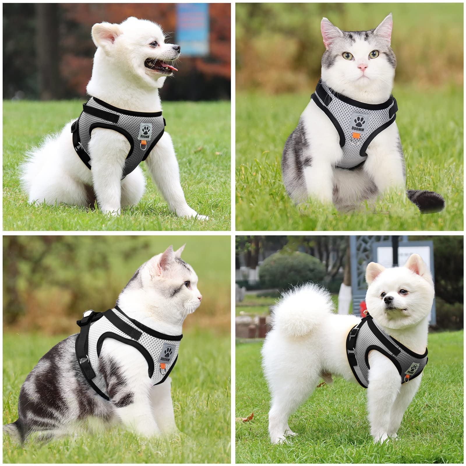 **Escape-Proof Adjustable Cat Harness & Leash Set – Breathable Reflective Kitten Harness for Small to Medium Cats – Perfect for Walking, Hiking & Outdoor Adventures**