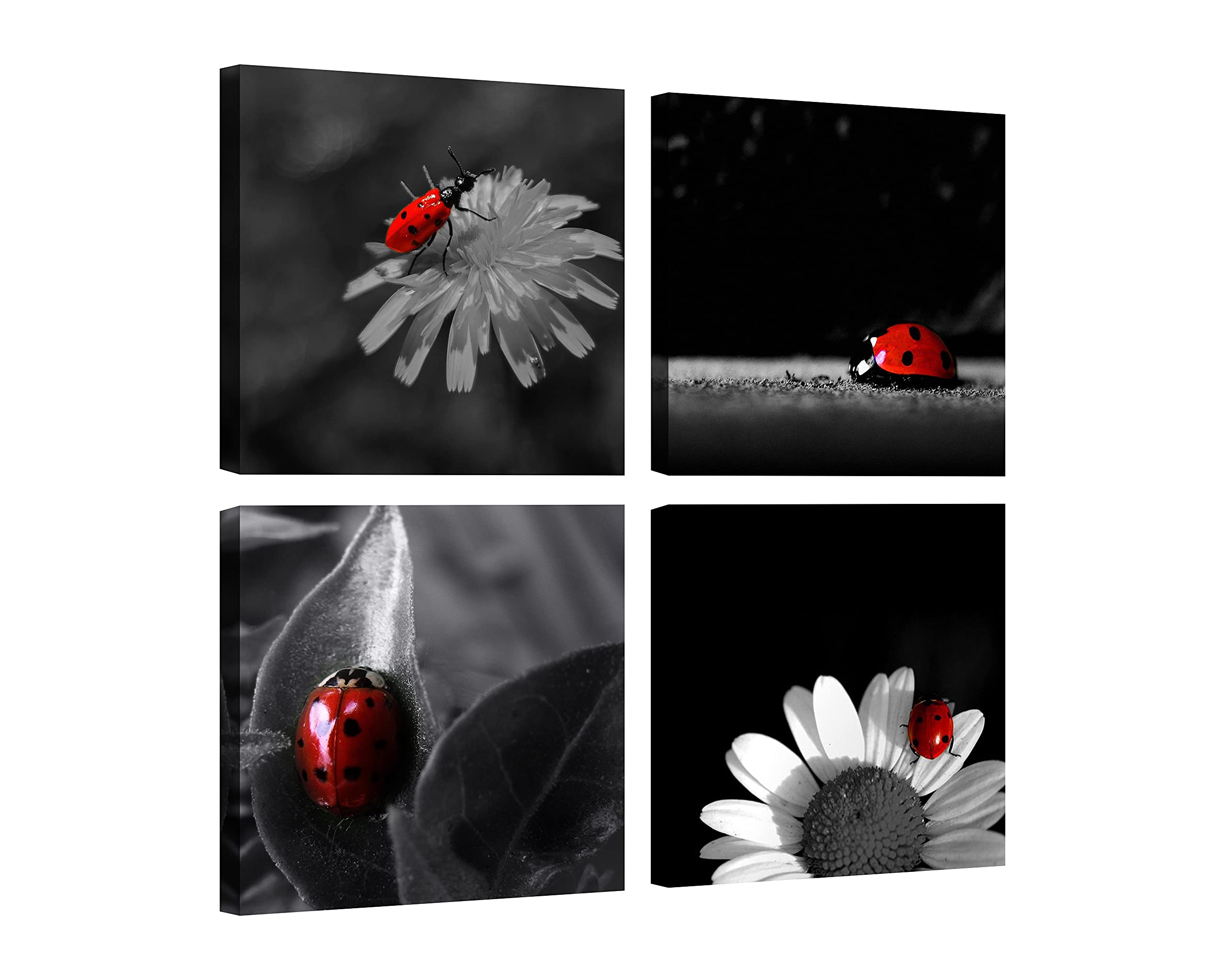Black and White Ladybug Wall Art - 4 Pcs Framed Canvas Prints 20x20 Inches, Nature Insect Decor with Flowers for Home, Office, Living Room, Bedroom & Kitchen | Perfect for Modern Farmhouse, Boho & Minimalist Interior Design