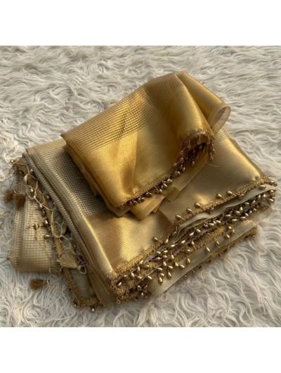 Gold Embroidered Zari Weaving Tissue Saree - Elegant Indian Bridal Saree for Weddings & Special Occasions