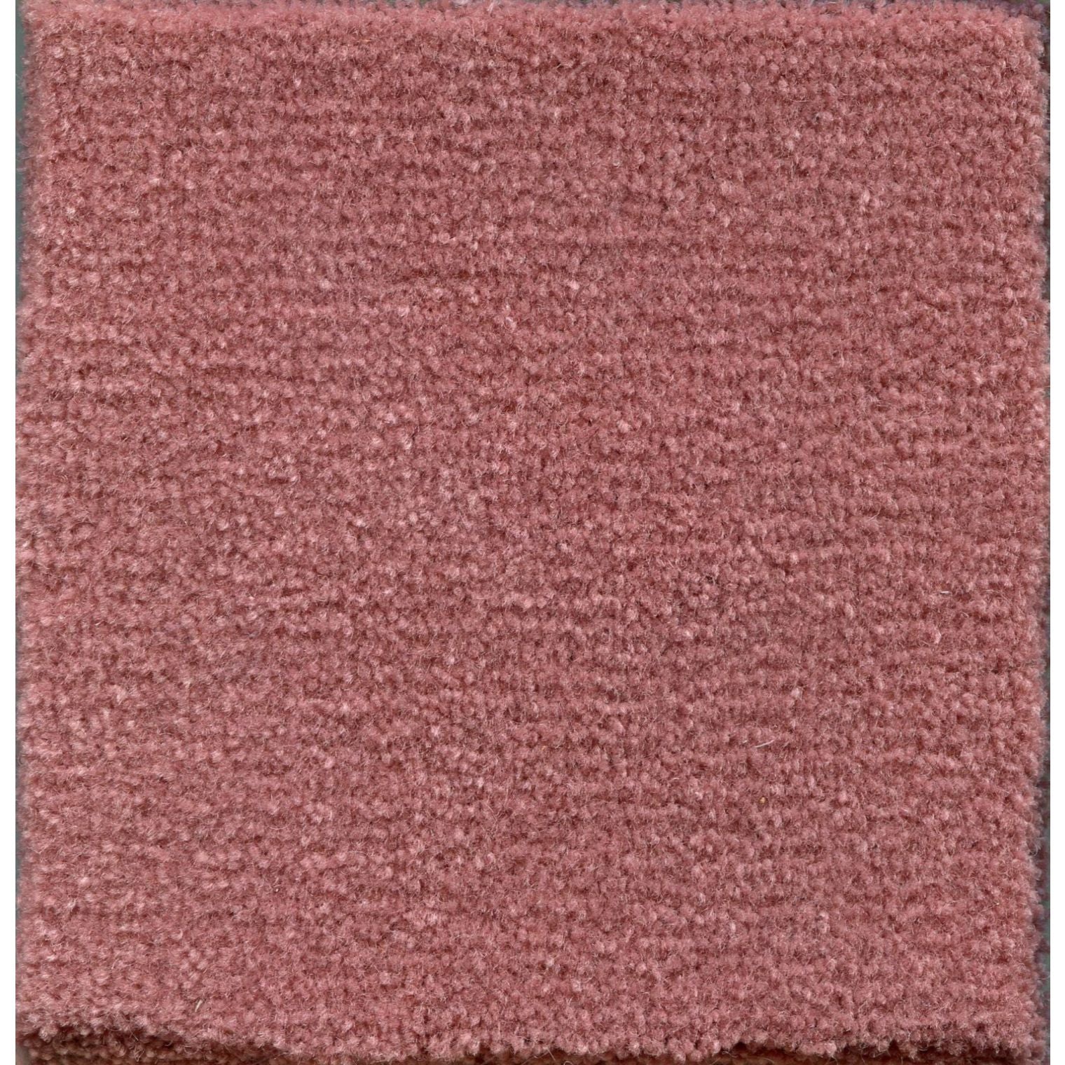 Alamosa - Premium Quality Products for Your Everyday Needs | Shop Now for Home, Office & Outdoor Use