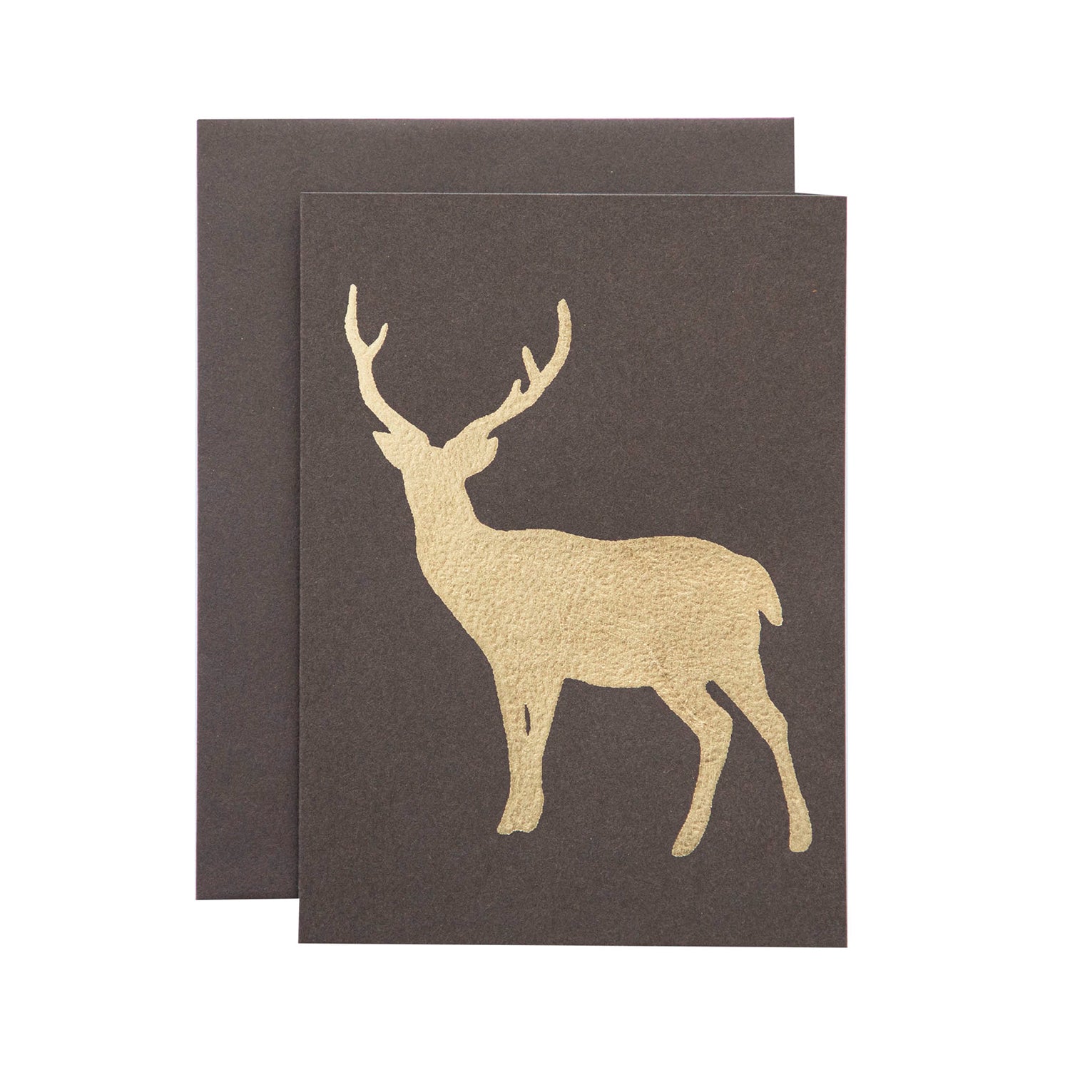 Brown Deer Greeting Cards - Elegant & Rustic Stationery for Birthdays, Holidays & Special Occasions - Perfect for Handwritten Notes & Gifts