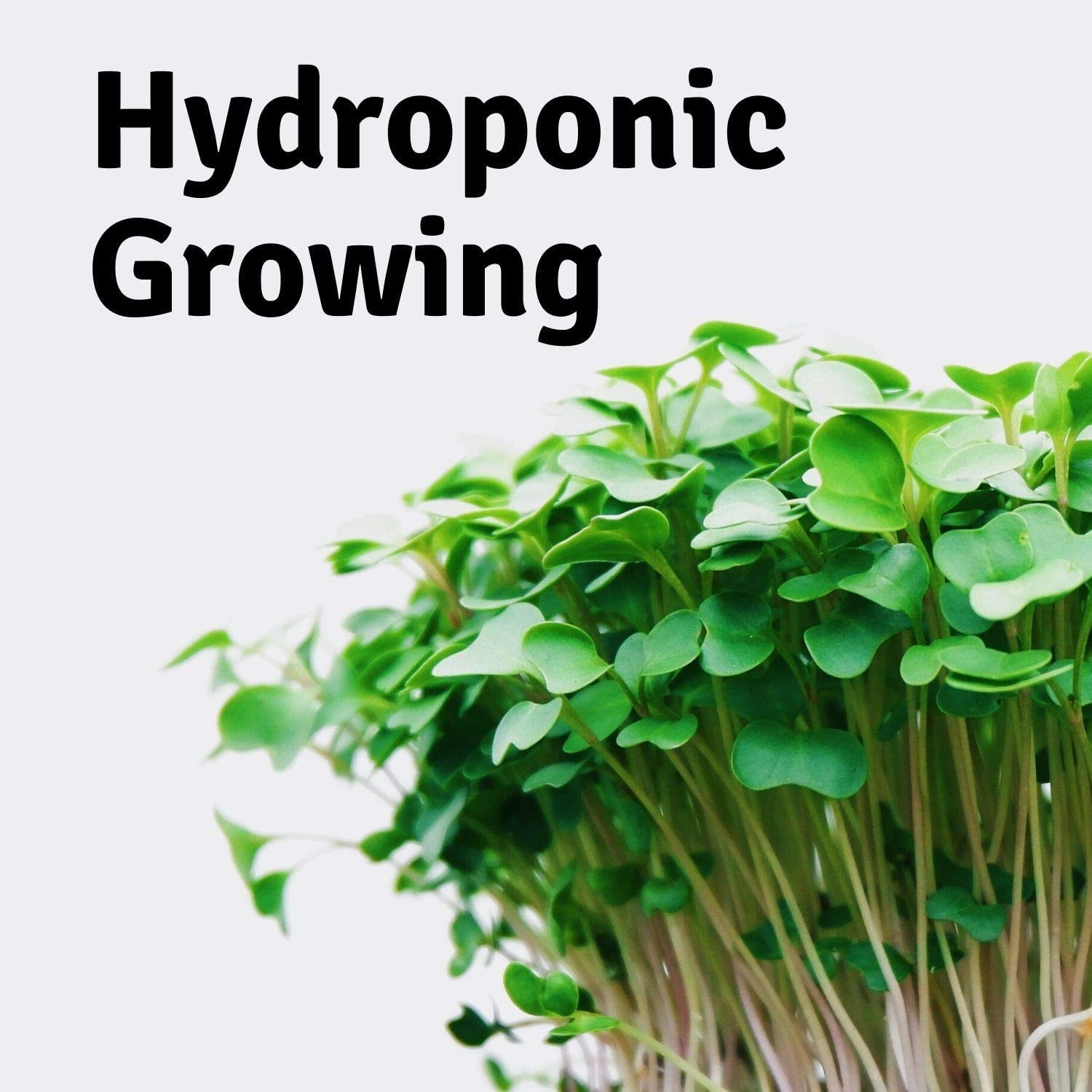 Organic Hydroponic Grow Pads for Wheatgrass & Microgreens - Handy Pantry Micro-Mat Minis 4