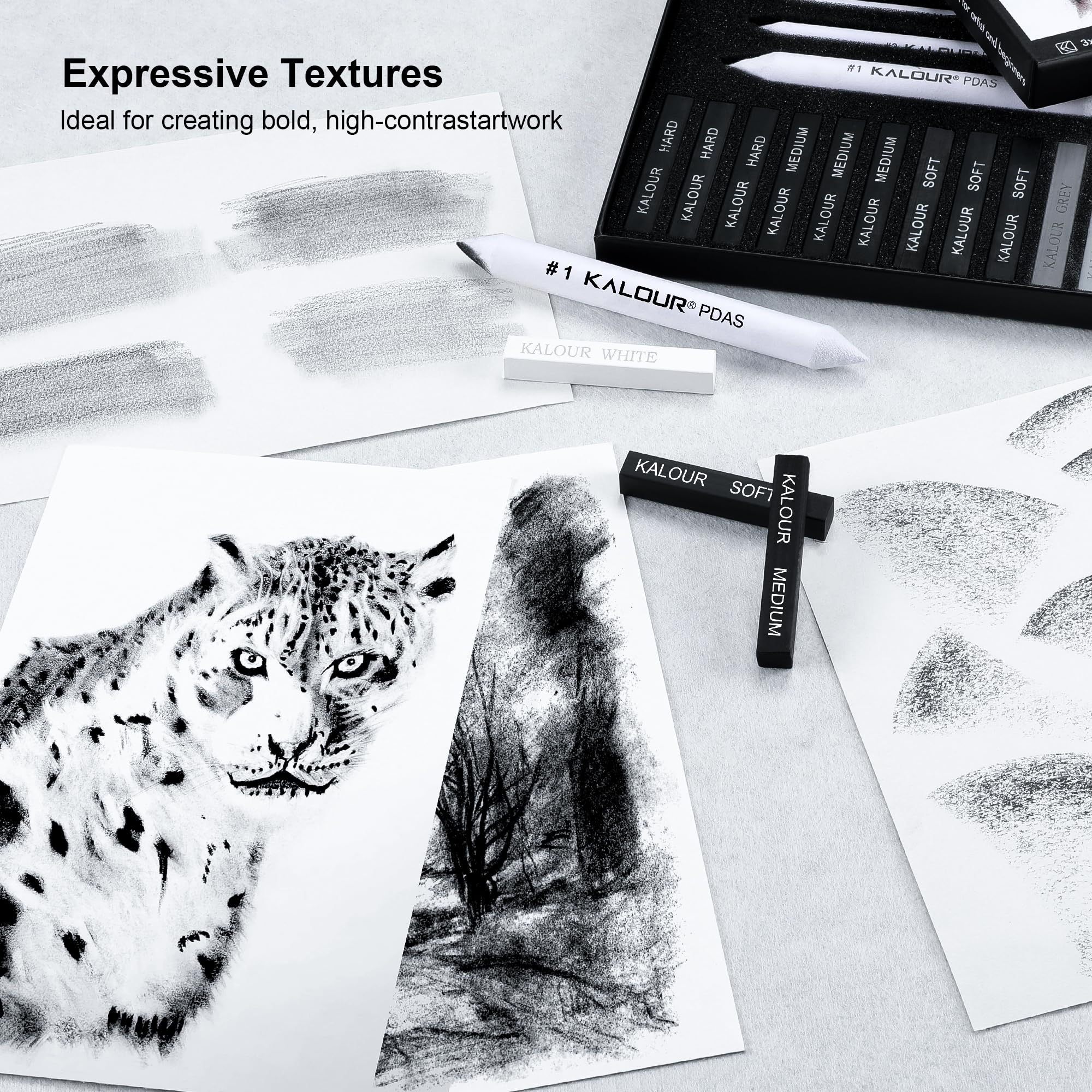 KALOUR 15 Pro Compressed Charcoal Drawing Set with Blending Stumps - Soft/Medium/Hard/White Charcoal Sticks for Sketching, Shading & Art - Perfect for Beginners & Professional Artists - Ideal for Portrait Drawing, Still Life & Figure Sketching