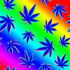 Rainbow Marijuana