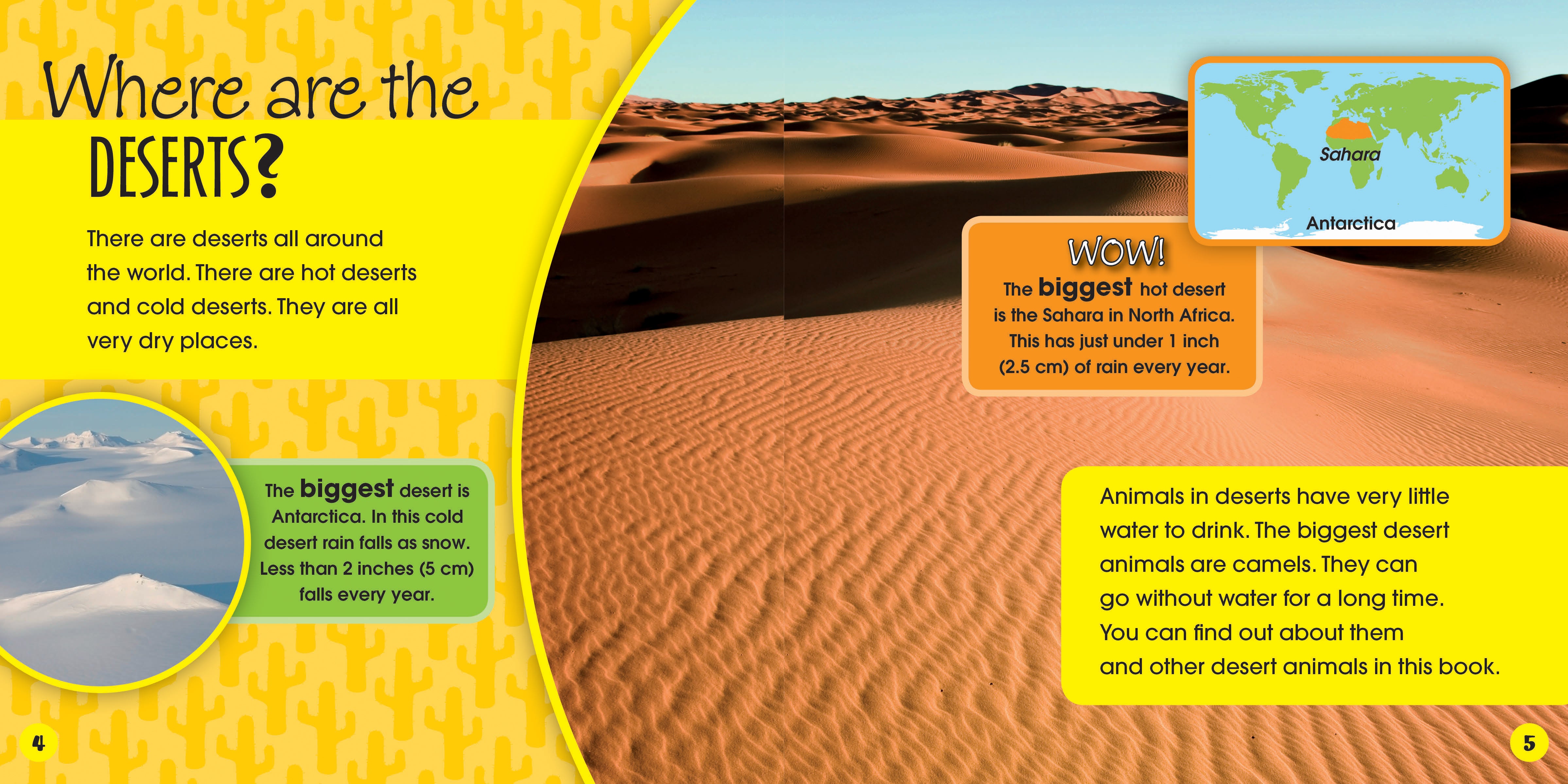Desert Animals and Their Habitats - Discover Wildlife in Arid Ecosystems | Perfect for Science Projects and Nature Enthusiasts