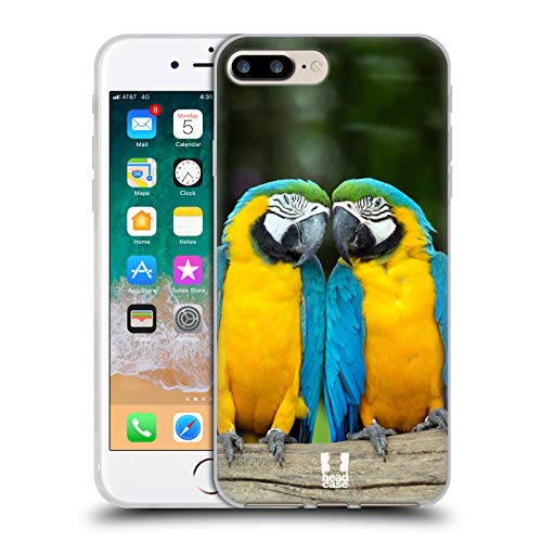 Colourful Macaw Parrot Couple