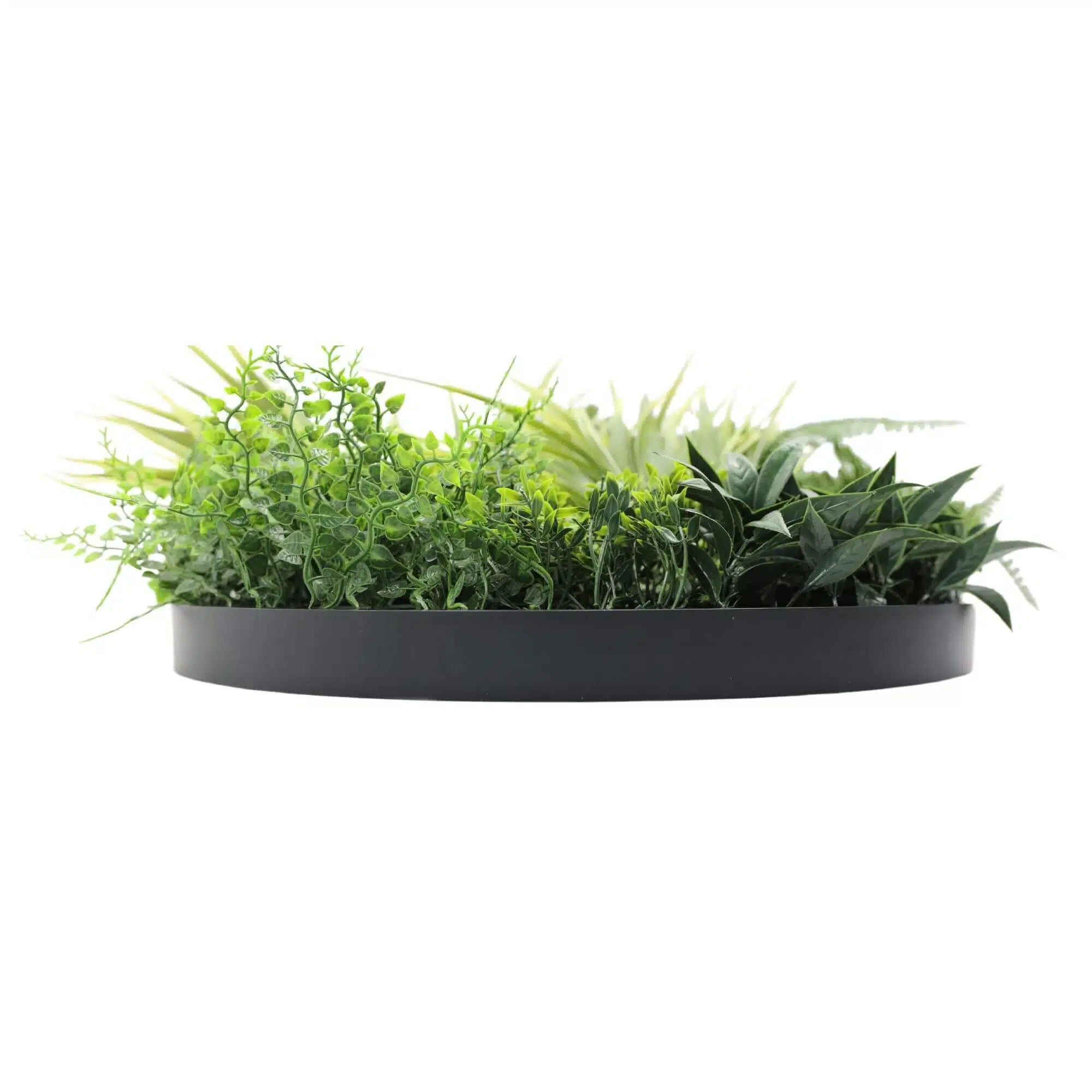 50cm Artificial Green Wall Panel - UV Resistant Slimline Fern Grass Decor for Indoor/Outdoor Use - Perfect for Home, Office, Balcony & Garden Decoration