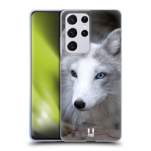 Coloured Eye Arctic Fox
