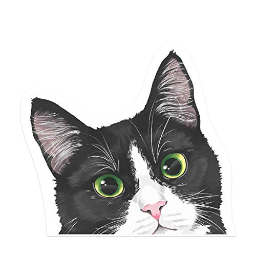 Black White Tuxedo Cat