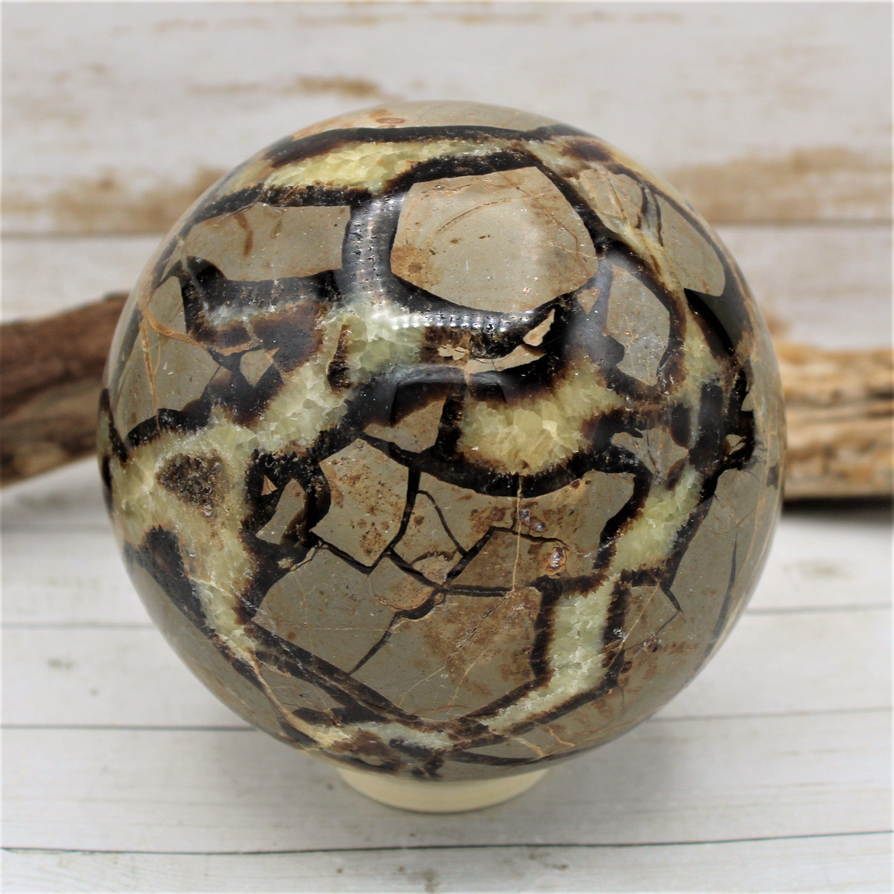 Natural Septarian Nodule Sphere - Healing Crystal Decor (2-4 inch) for Meditation, Home Decor & Gifts | Polished Stone Ball for Yoga, Office Desk & Spiritual Practice