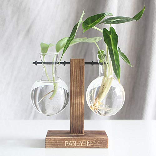 Modern Double Balls Glass Desk Vase - Hydroponic Plant Terrarium Container with Wooden Stand (Double Side Ladder) - Perfect for Office Decor, Home Plant Display & Gift Ideas