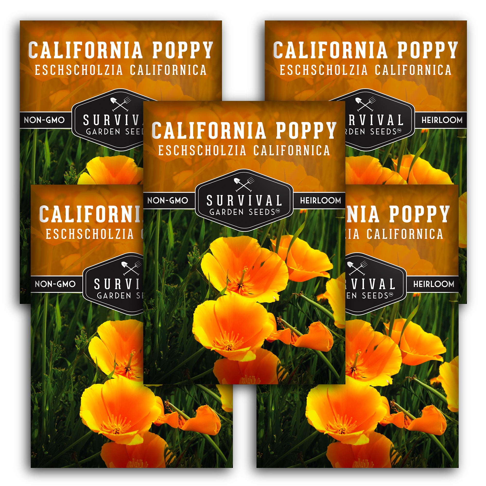California Poppy Seeds - Organic, Non-GMO, Heirloom Variety for Planting & Gardening - Perfect for Wildflower Gardens, Landscaping & Pollinator-Friendly Yards