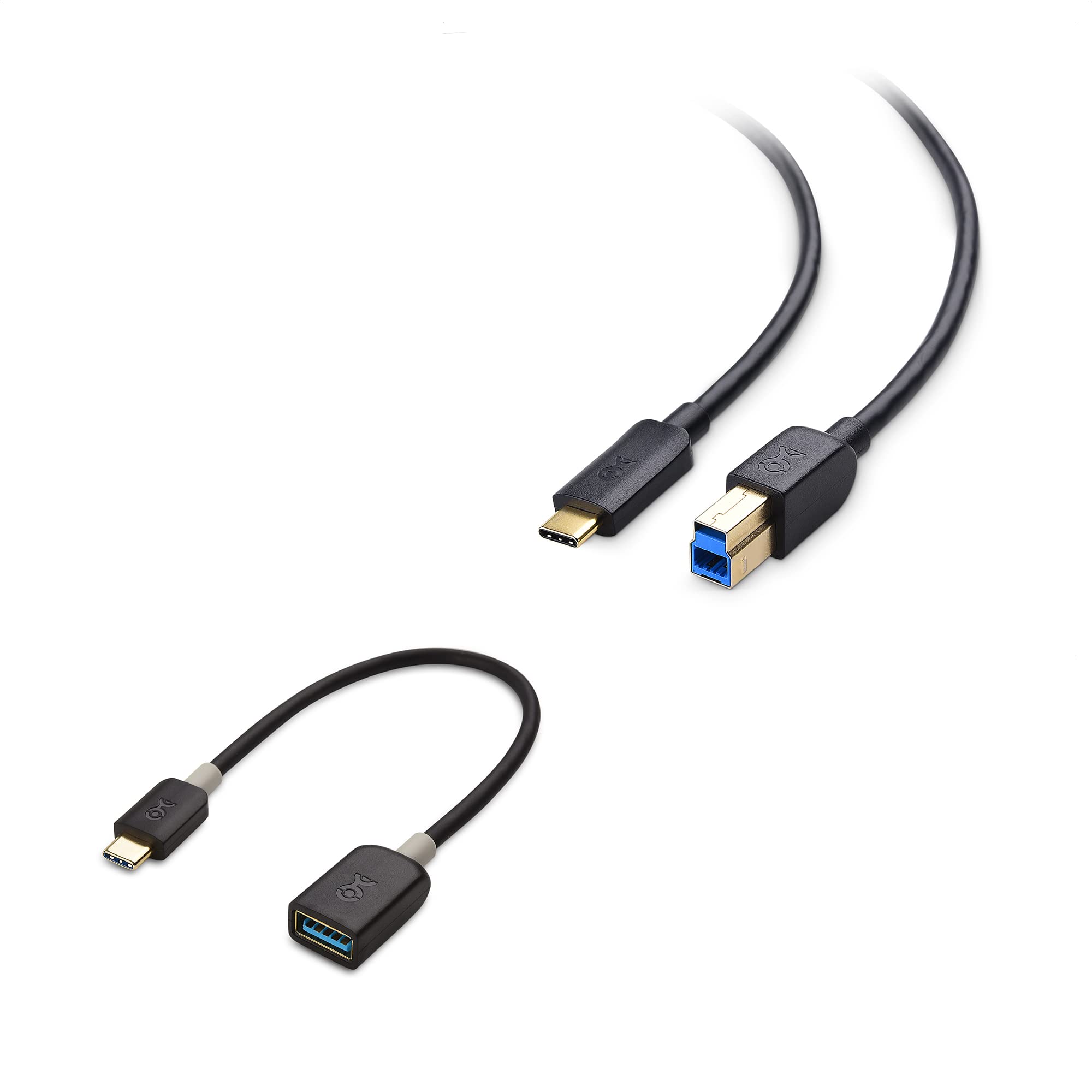 Cable Matters USB-C to USB B 3.1 Gen 2 Cable (6.6ft Black) & USB C to USB Adapter - High Speed Data Transfer for Printers, Scanners, Audio Interfaces & Studio Equipment