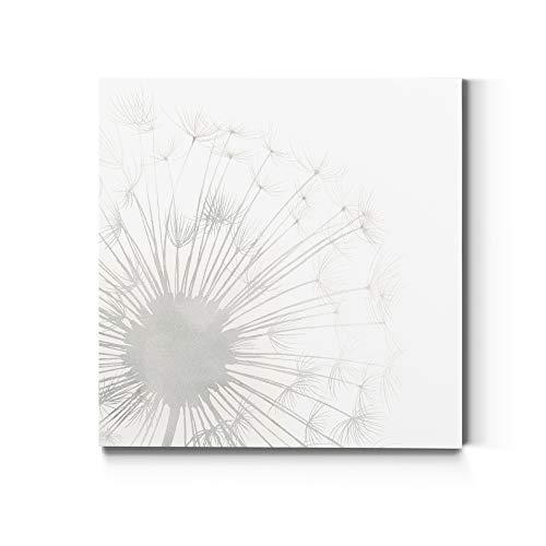 Dandelion 1