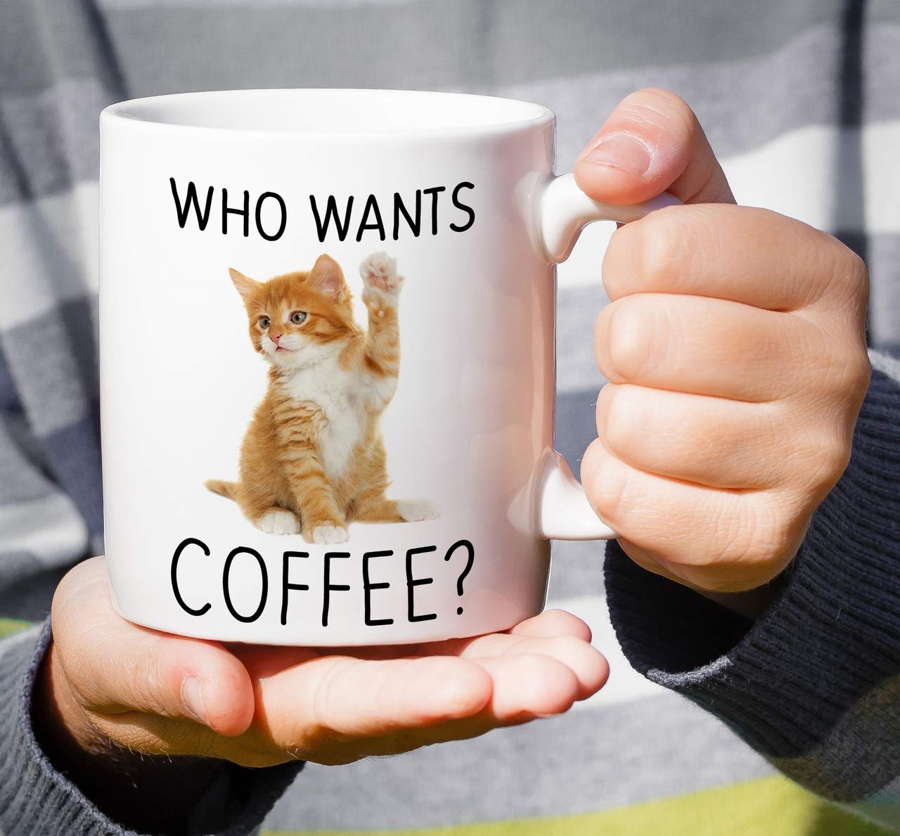 Retreez Funny 11 Oz Ceramic Coffee Mug - 'Who Wants Coffee?' Cute Kitten Design for Cat Lovers - Sarcastic & Motivational Gift for Friends, Coworkers, Family - Perfect for Office, Home & Birthday Gifts