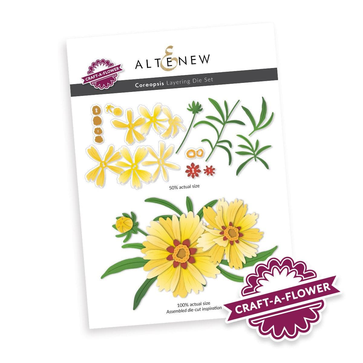 Coreopsis Layering Die Set for Card Making - Floral Paper Crafting Dies for Scrapbooking, DIY Greeting Cards, and Home Decor Projects