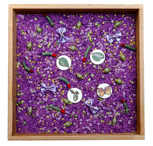 Butterfly Life Cycle Sensory Bin Filler Kit - 4 Cups with Wooden Life Cycle Toys for Kids - Sensory Play Tools for Early Learning & Montessori Activities