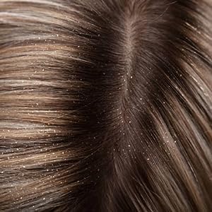 Berry Bliss Henna Shampoo - 8.5 oz for Natural Hair Care & Color Protection | Pack of 1 | Ideal for Dry, Damaged Hair & Scalp Nourishment