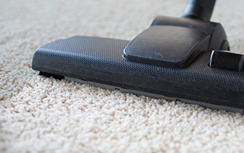 Premium Carpet & Rug Dry Cleaner (1 lb) | Powerful Spot & Stain Remover (32 oz) | Upholstery Cleaner for Couches & Sofas | Multi-Surface Cleaning Bundle for Pets, Kids & High-Traffic Areas