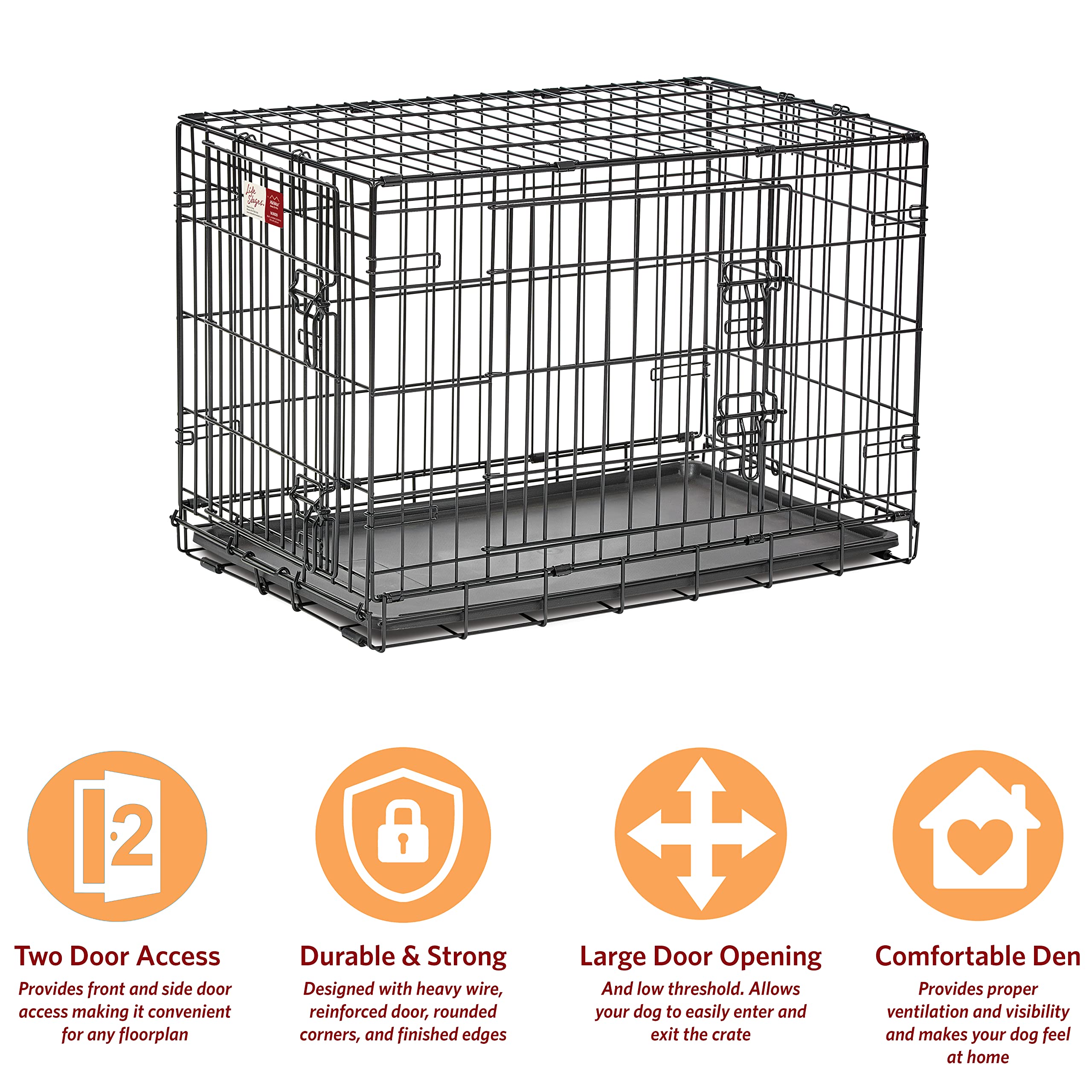 MidWest Homes for Pets Medium Dog Crate - 30 Inch Double Door Folding Metal Dog Kennel with Divider Panel & Floor Protectors | Ideal for Training, Travel & Home Use | 30.6L x 19.3W x 21.4H Inches