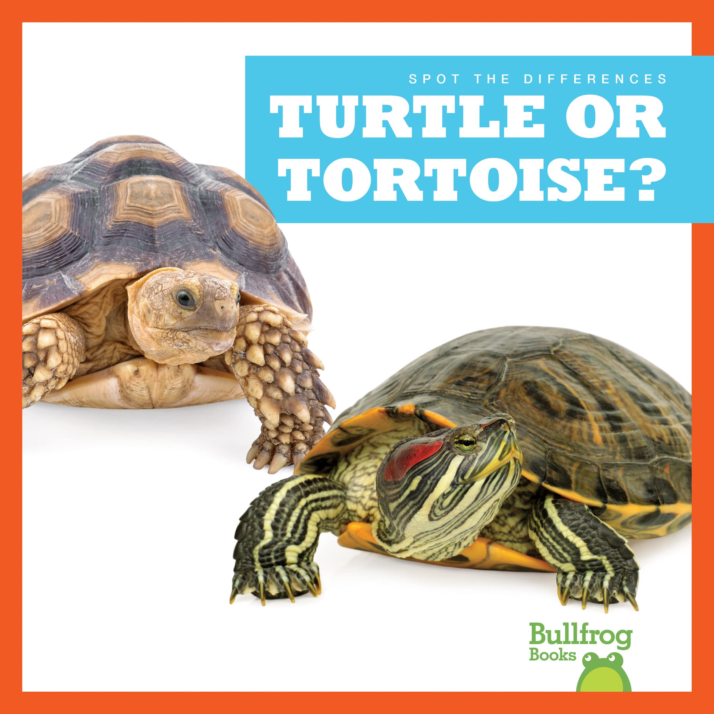 Turtle vs Tortoise: Spot the Differences - Educational Book for Kids | Perfect for Classroom Learning & Animal Identification Activities