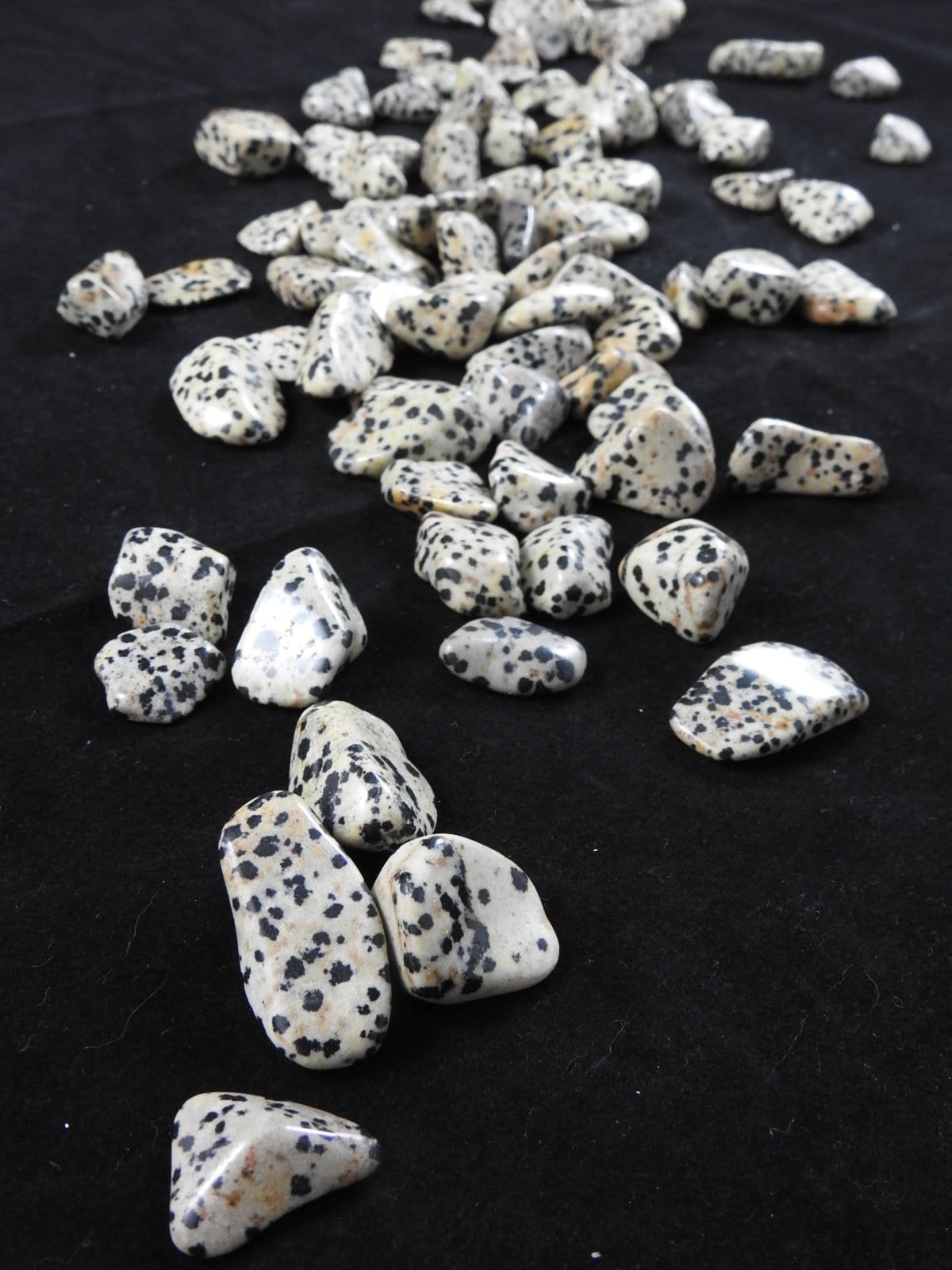 Dalmatian Jasper Tumbled Stones - Natural Polished Healing Crystals for Chakra Balancing, Meditation & Home Decor