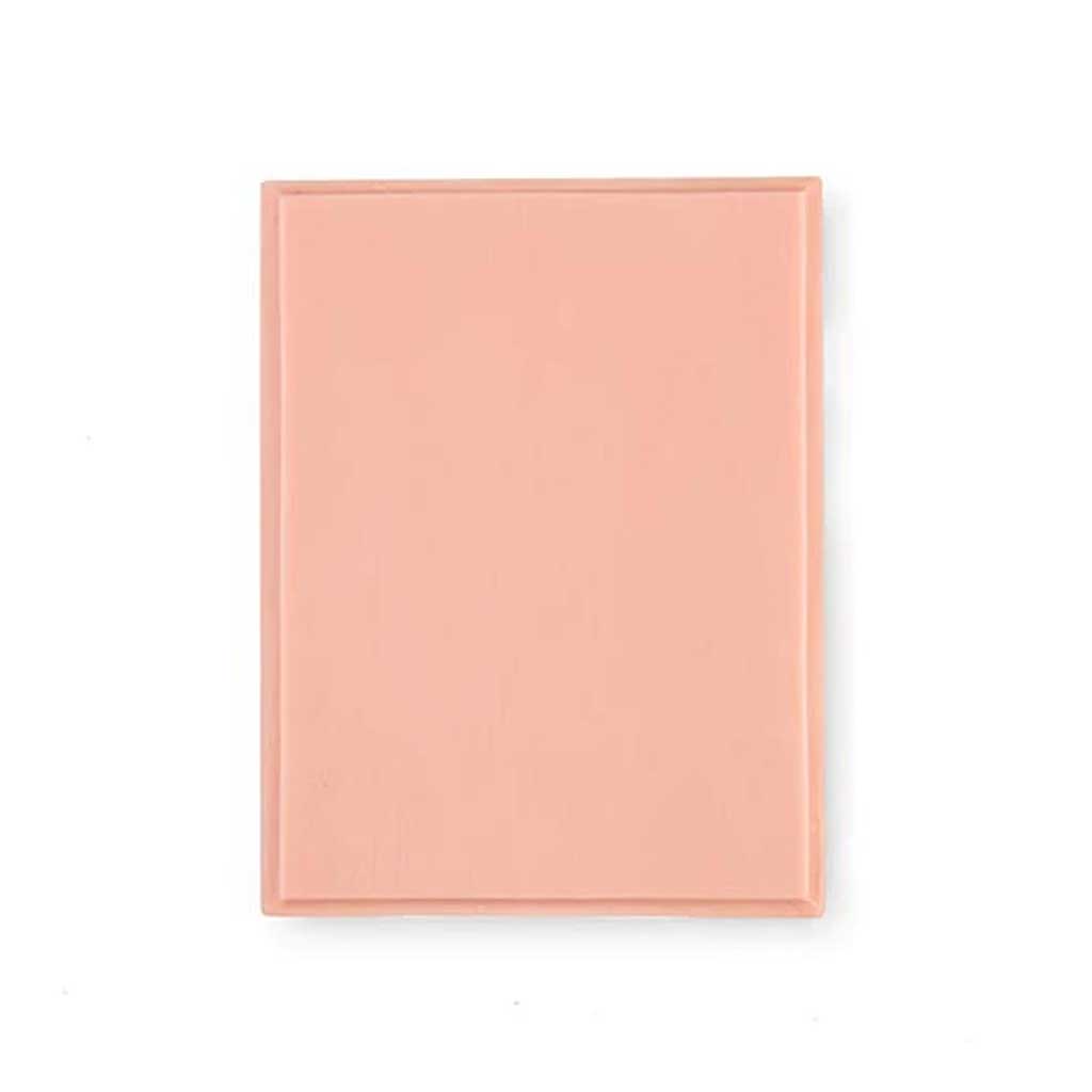 11 x 8.5 Inch Rectangle Plaque - Fitzpatrick Skin Tone 2 - Perfect for Medical Offices, Dermatology Clinics & Skin Care Professionals