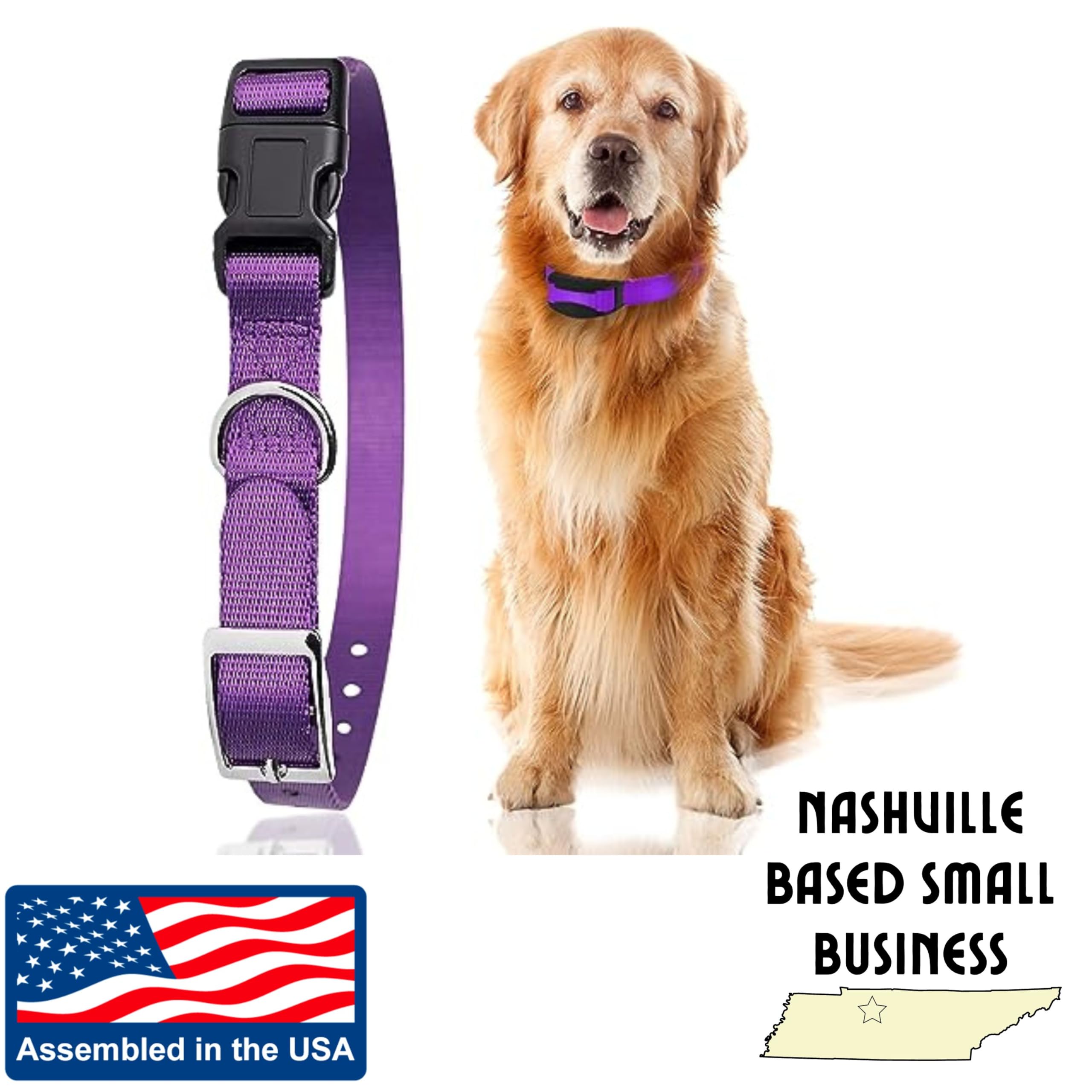 Replacement Strap for Shock Collar & Invisible Fence Collar - 3/4