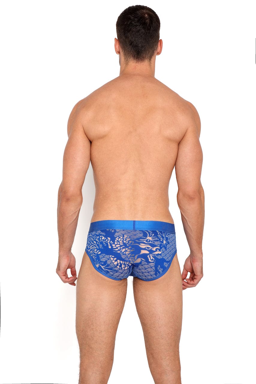 Dragon Burnout Blue Briefs for Men - Soft Cotton Boxer Briefs with Comfortable Waistband - Perfect for Everyday Wear, Workout, and Sleep