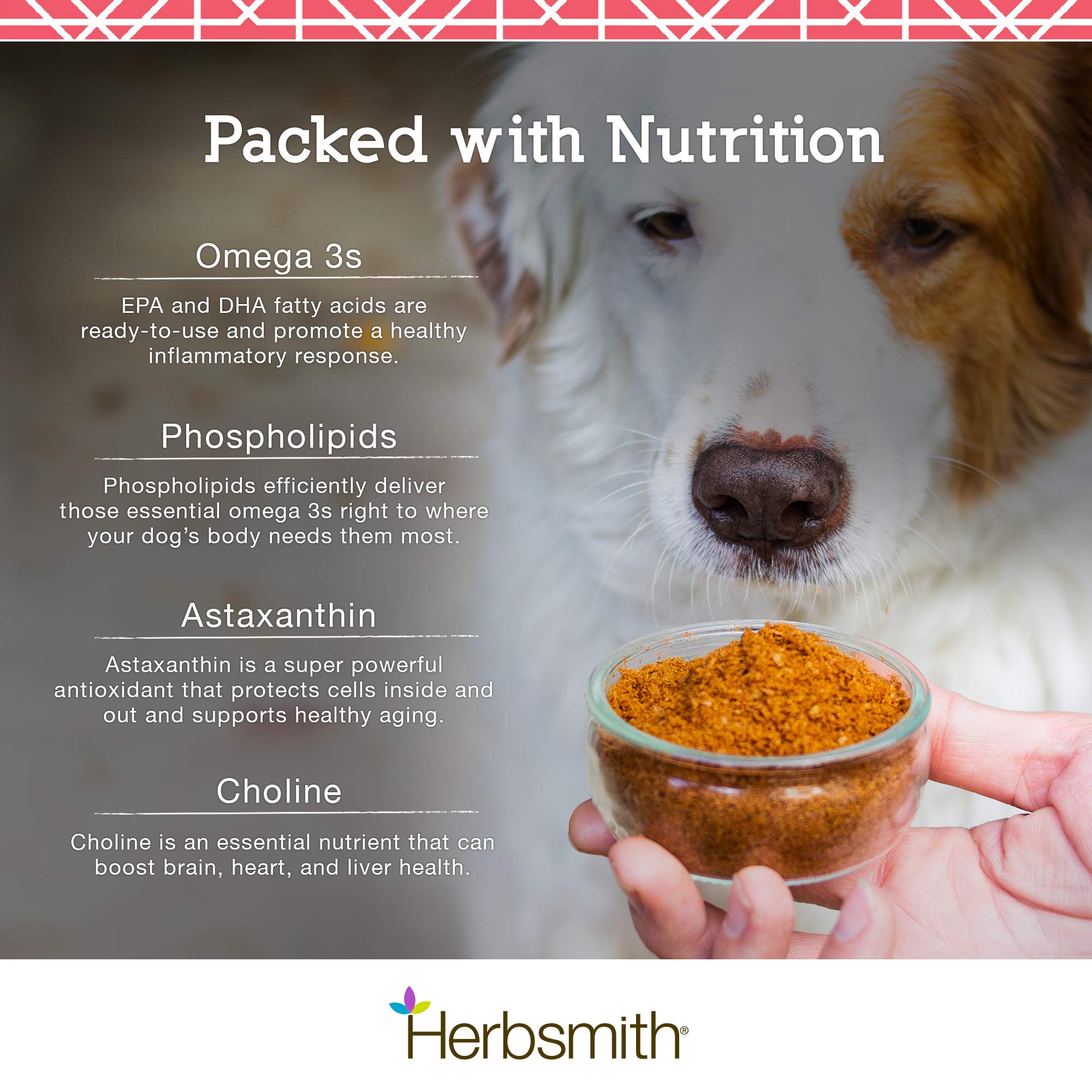 Herbsmith Pure Krill for Dogs - Wild-Caught Antarctic Krill Oil Supplement with Natural Astaxanthin - Single Ingredient Omega 3 Fatty Acids - 400g Ready-to-Use Powder - Supports Joint, Skin & Coat Health - Perfect for Senior Dogs & Active Pets