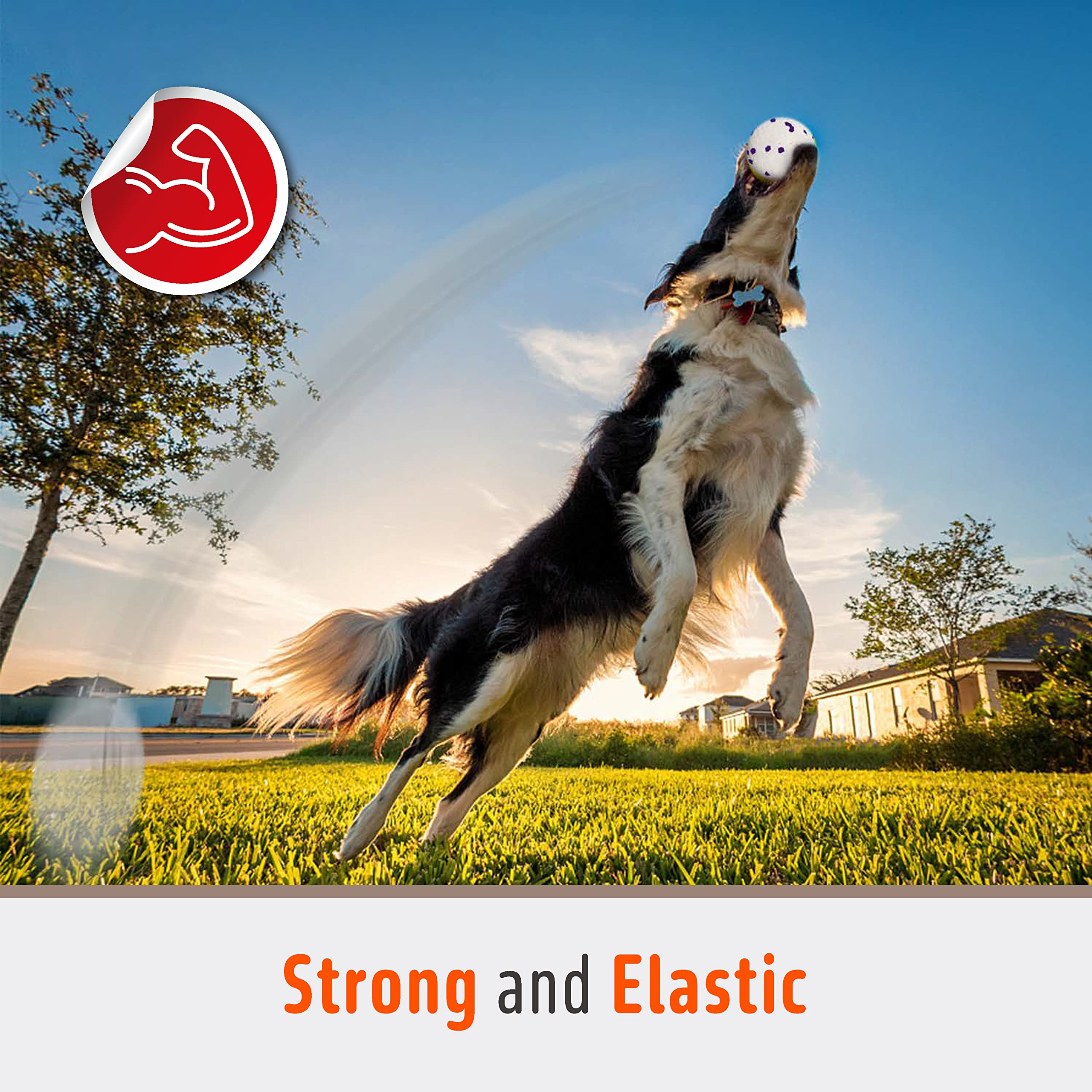 Durable Dog Chew Toys for Aggressive Chewers - 4 Pack Tennis Ball Set for Large, Medium Dogs & Puppies - Interactive Fetch, Teething Molar & Water Toys - Perfect for Outdoor Play, Training & Gifts (White)