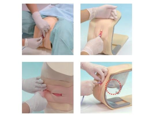 Female Catheterization & Enema Training Simulator - Medical Practice Model for Nursing Students & Healthcare Professionals - Perfect for Clinical Skills Training & Patient Care Education
