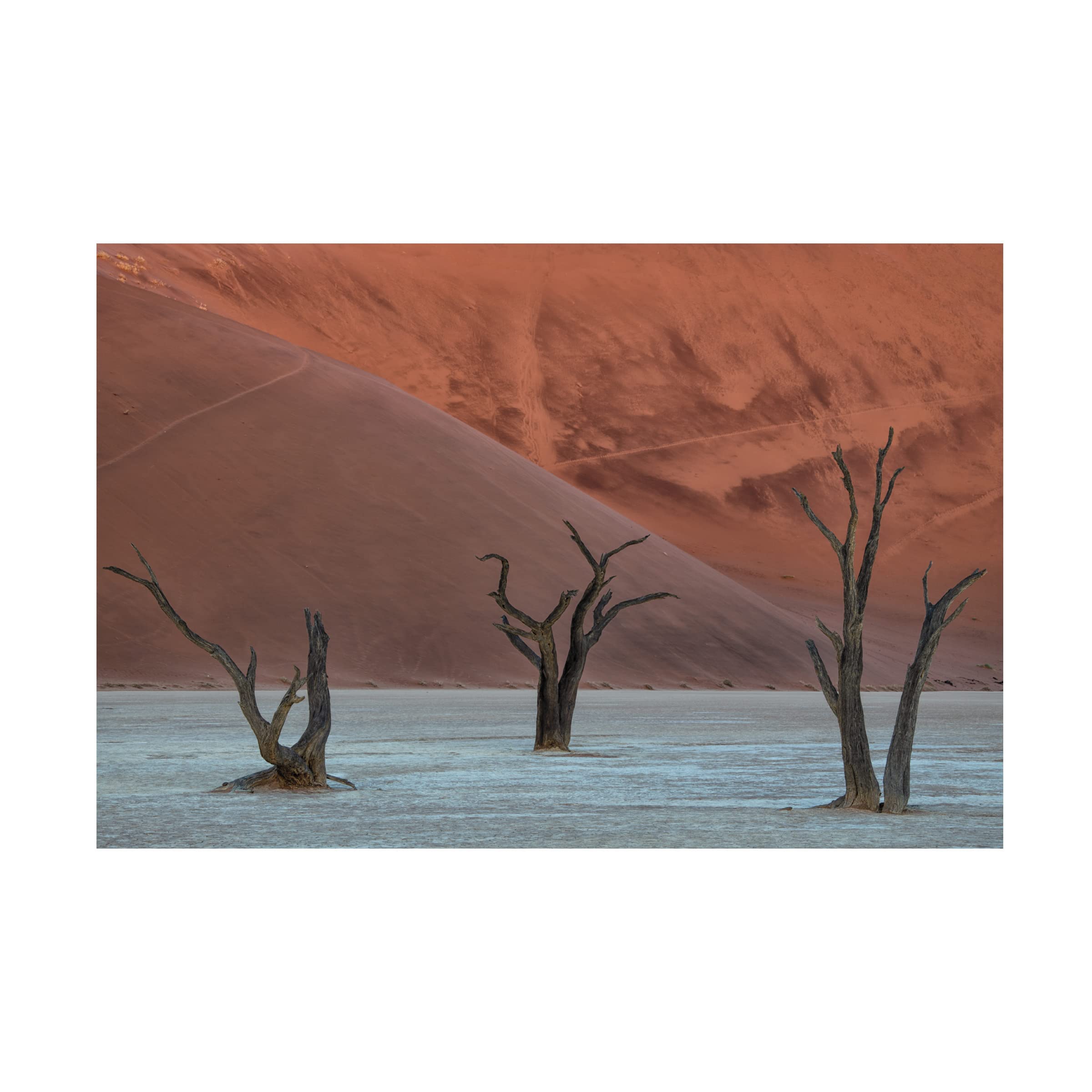 Luigi Ruoppolo 'Deadvlei' Canvas Art Print - Premium Trademark Fine Art for Home & Office Decor | Perfect for Living Room, Bedroom, or Office Wall Art