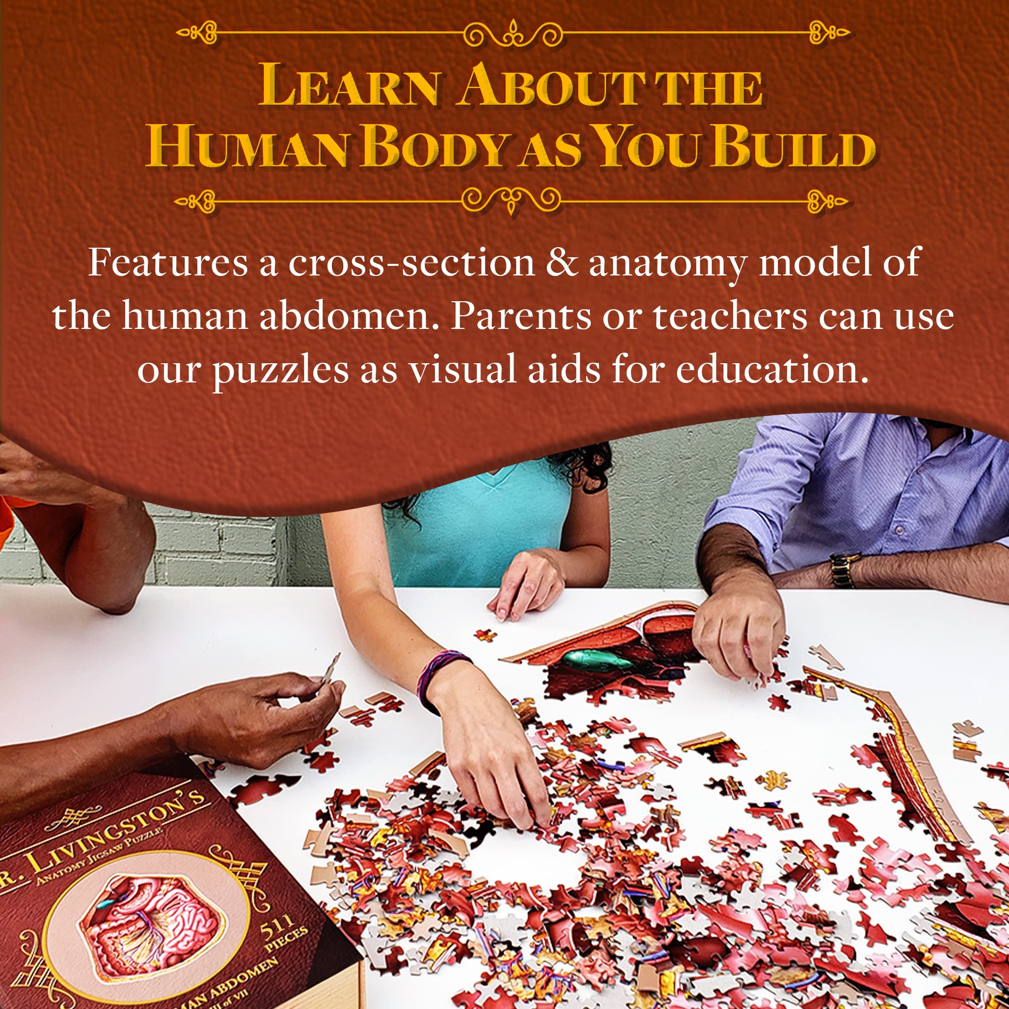 Dr. Livingston's Human Abdomen Anatomy Jigsaw Puzzle - 500 Piece Medical Science Puzzle with Accurate Illustrations of Organs, Stomach, Liver & Intestines | Educational STEM Toy for Doctors, Nurses, Medical Students & Anatomy Enthusiasts
