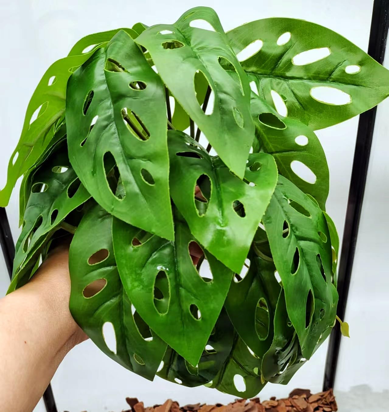 Artificial Reptile Plants for Terrarium Decor - Swiss Cheese Design Amphibian Habitat Accessories for Bearded Dragon, Gecko, Chameleon, Snake & Tortoise Tanks - Perfect for Jungle Themed Vivarium Setup
