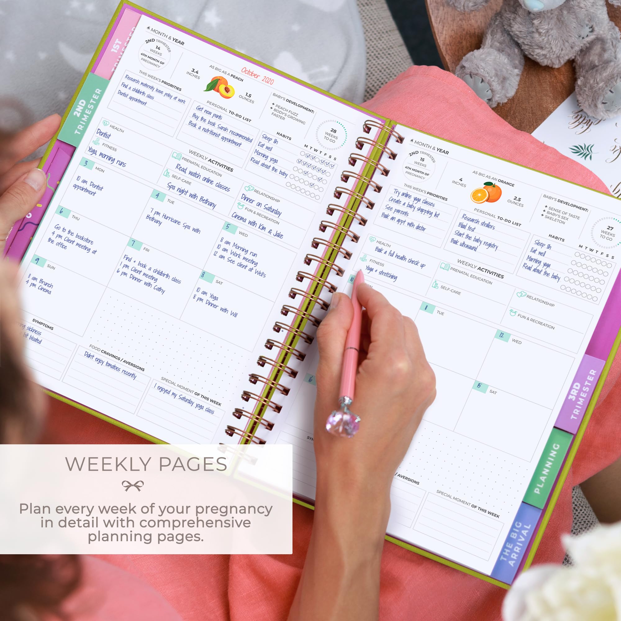 Clever Fox Pregnancy Planner & Memory Book - Baby Keepsake Journal for Expecting Moms, First Time Mothers Gift (Spring Green, 9x10.5 inches) - Perfect for Tracking Baby Bumps, Ultrasound Photos & Creating Lasting Memories