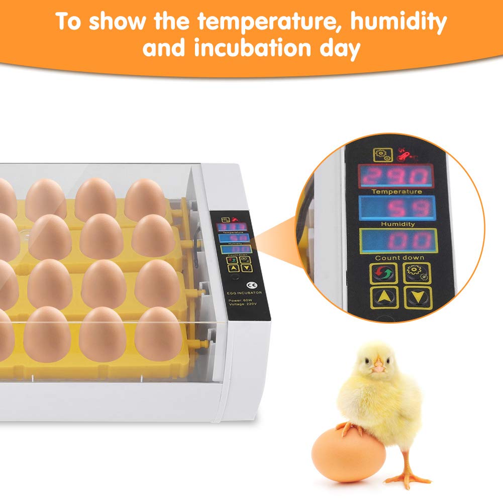 Automatic Egg Incubator with Digital Display, Temperature & Humidity Control - 24 Egg Capacity for Chickens, Ducks, Geese & Birds - Perfect for Home Poultry Farming & Classroom Hatching Projects