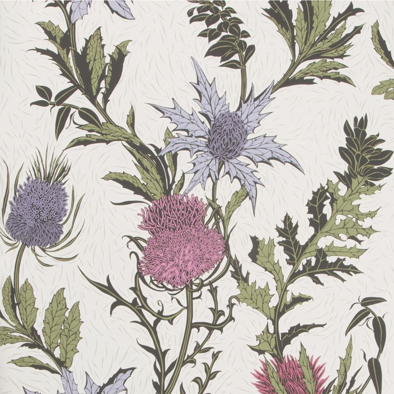 Cole & Son Thistle Lilac Cerise White Print Wallpaper - Premium Floral Wallpaper for Living Room, Bedroom, and Home Decor