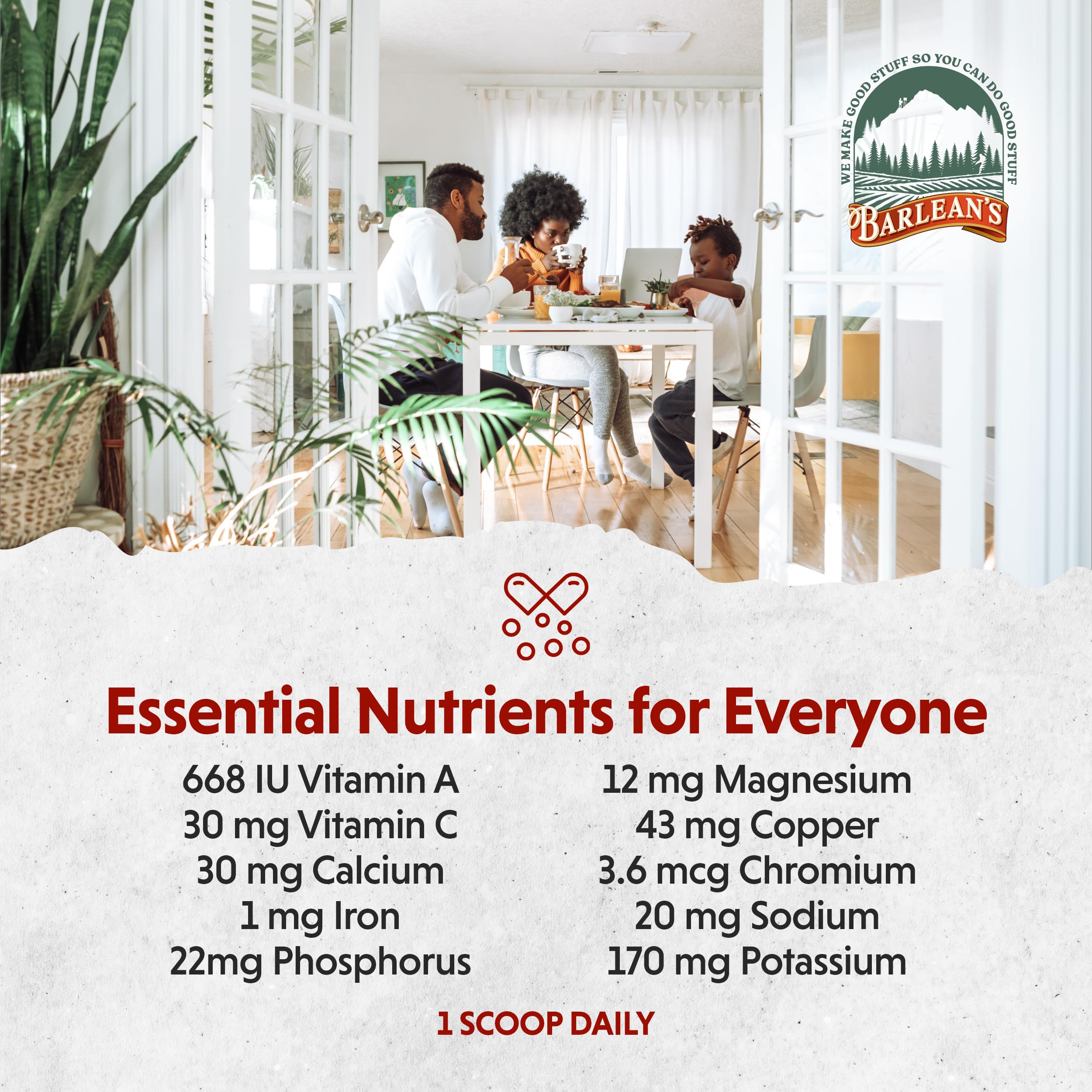 Barlean's Organic Greens Powder Superfood Supplement with Fruits, Veggies, Green Protein, Probiotics & Fiber - Boosts Athletic Endurance & Daily Health (8.47 oz) | Perfect for Smoothies, Post-Workout Recovery & Immune Support