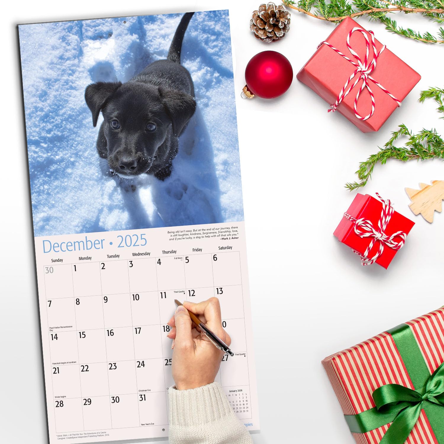 RED EMBER Lab Puppies 2025 Wall Calendar - 12 Month Large Format (12x24 Inches) with Thick Sturdy Paper - Perfect Gift for Dog Lovers - Ideal for Home, Office, or Classroom Decoration
