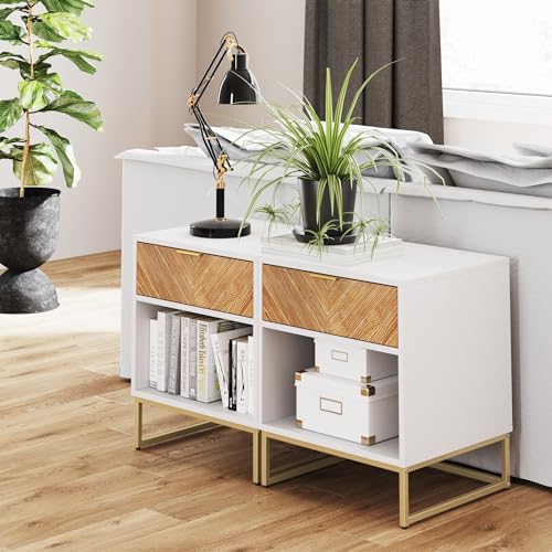 White/Gold - Set of 2